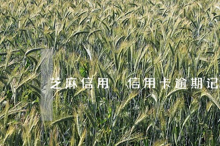 芝麻信用 信用卡逾期记录 芝麻信用 信用卡逾期记录